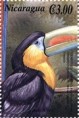 /album/photo-gallery-toucan/tucano2-jpg/